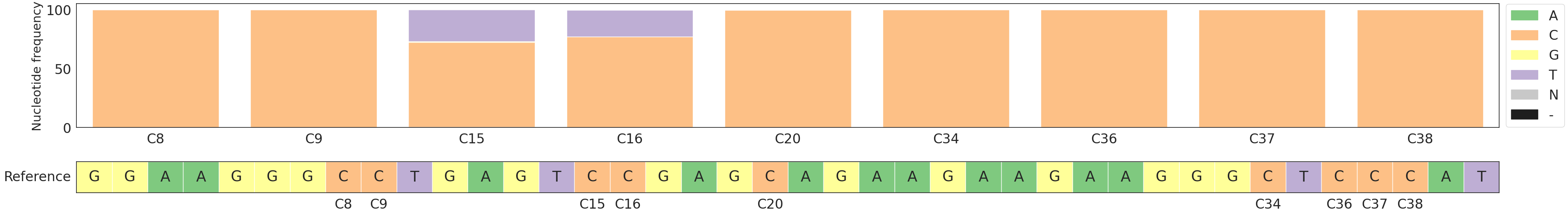 Proportion of each base